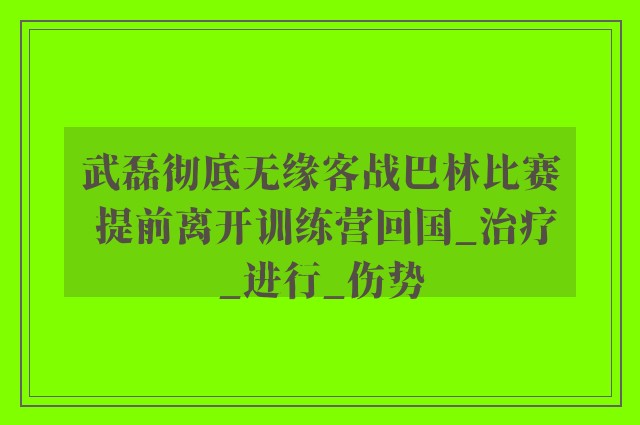 武磊彻底无缘客战巴林比赛 提前离开训练营回国_治疗_进行_伤势